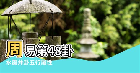 水風井卦|【周易全解】48 井卦 